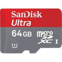 sandisg 63gb micro